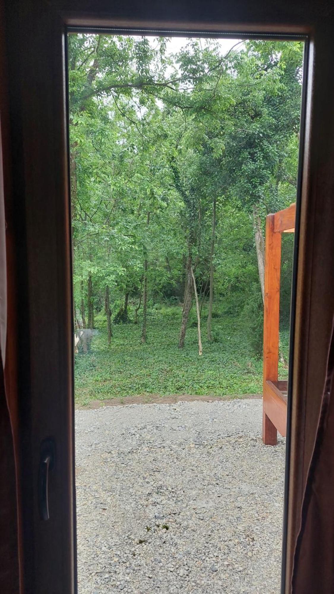 Luna Kuca- Devojacki Bunar Holiday home